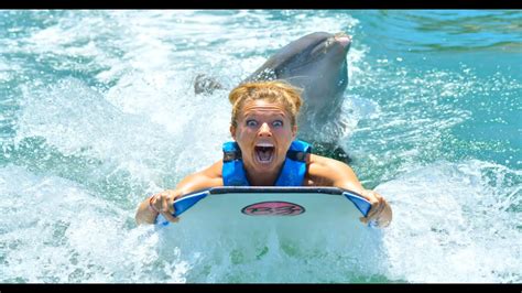 dolphin humping girl|PEOPLE GET HUMPED BY DOLPHINS 